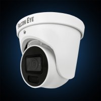Видеокамера Falcon Eye FE-IPC-D2-30p (Версия 2018-2021)